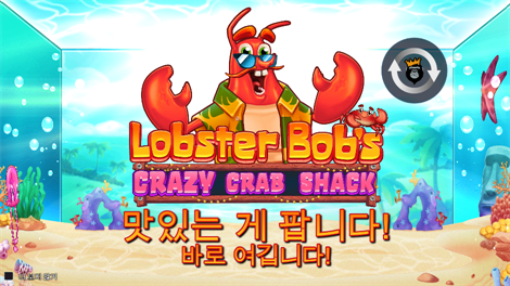 와일드 부스터