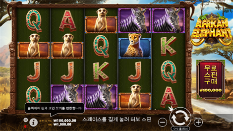 슈가 러쉬