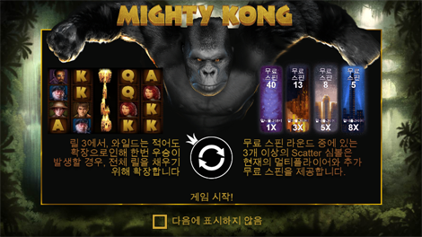 와일드 비치 파티