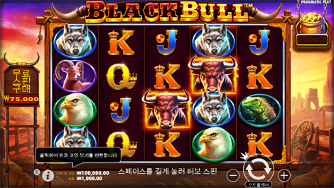 와일드 바이슨 찰지